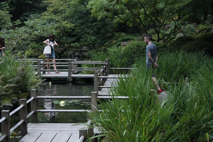 ​Strolling by the serene koi pond in the Portland Japanese Garden