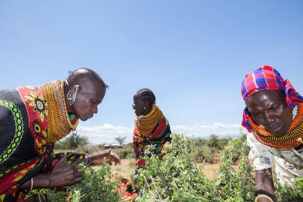 Journey of Clean Water for Life
