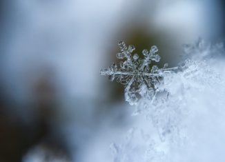 snowflake